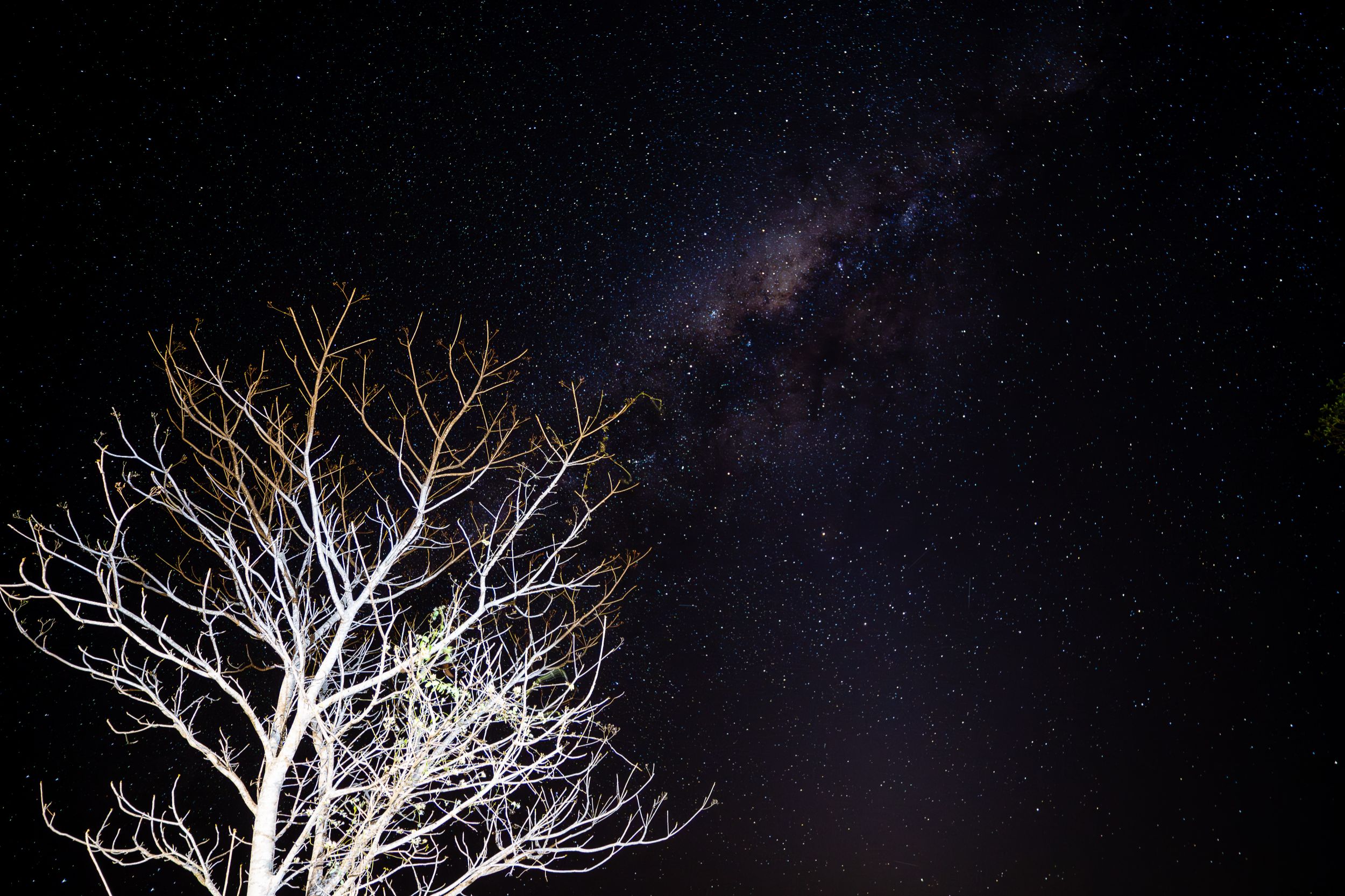 20231005 192917 Fotobuch Südafrika  27